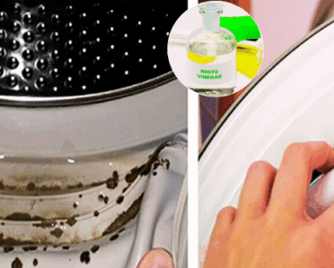 No One Knows That Toxic Mold is Hiding in Their Washing Machine! Here’s How to Get Rid of It