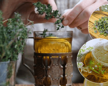 This Ancient Herb Destroys Vertigo, Lupus, Fibromyalgia, Arthritis, Fatigue, and More — Doctors Are Stunned!