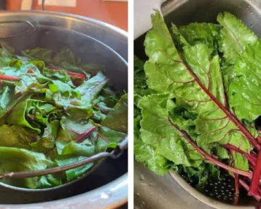 When You Eat Beet Greens for a Week, Your Body Might Gain These 11 Overlooked Benefits