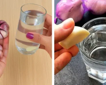Benefits of Putting Garlic in a Glass of Water Overnight: The Morning Remedy People Still Swear By